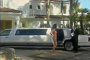 Sexy slut with nice tits Tera Patrick gets fucked in the back of a limo poster