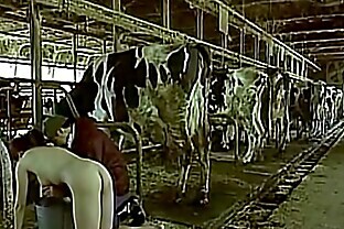 Asian woman pretending to be a cow milked him as a man boobs 59 sec poster