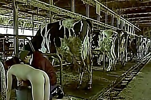 Asian woman pretending to be a cow milked him as a man boobs 59 sec